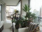 urban-jungle-plantas-varanda